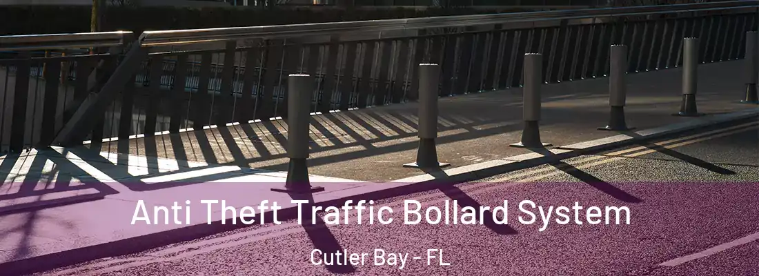 Anti Theft Traffic Bollard System Cutler Bay - FL
