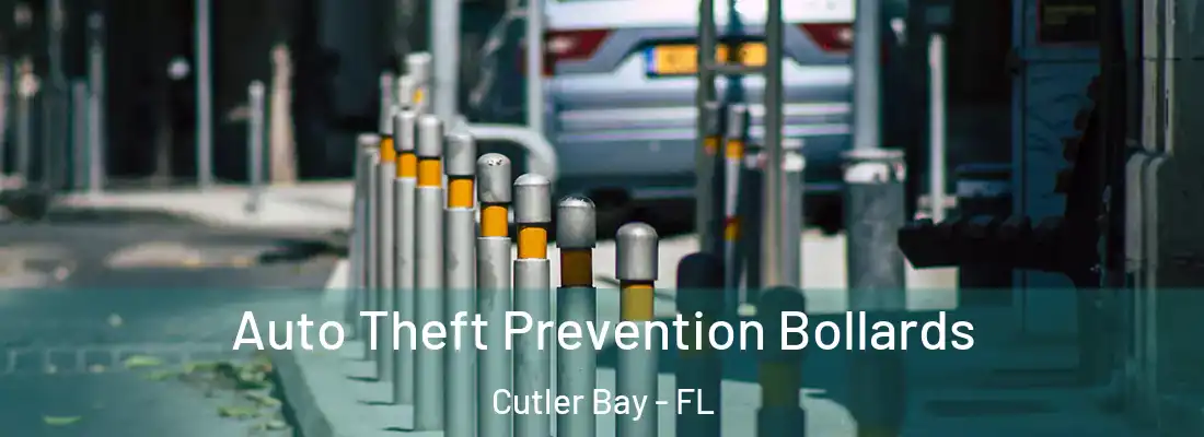 Auto Theft Prevention Bollards Cutler Bay - FL