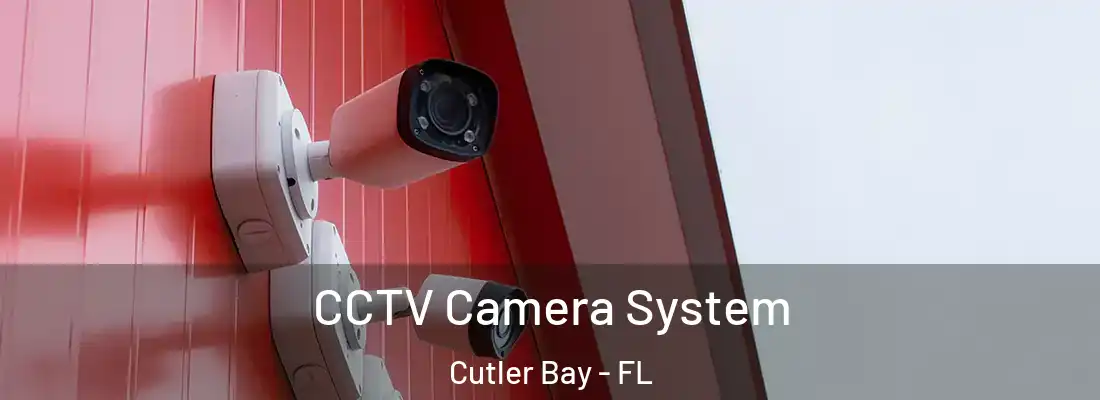 CCTV Camera System Cutler Bay - FL