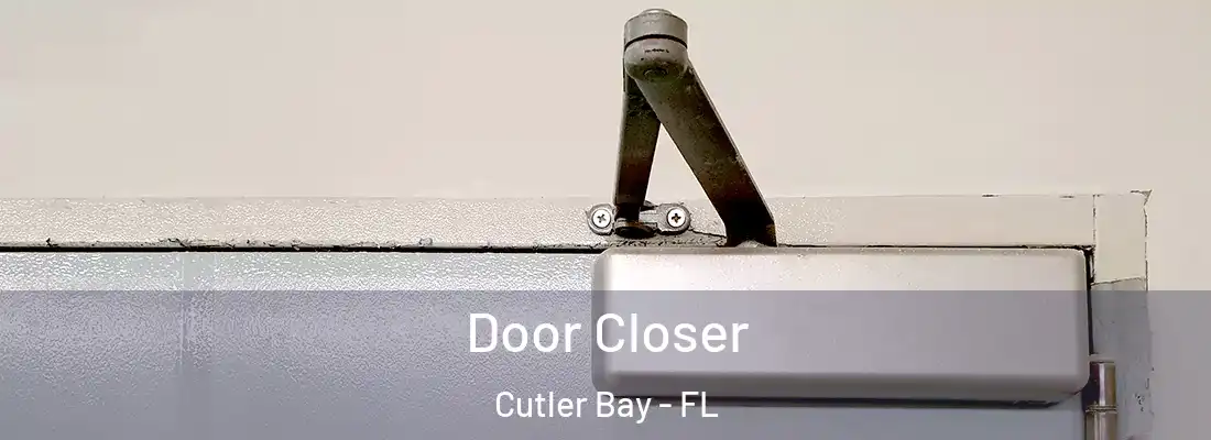Door Closer Cutler Bay - FL
