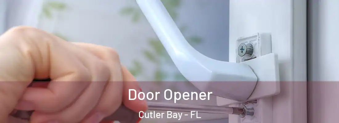 Door Opener Cutler Bay - FL