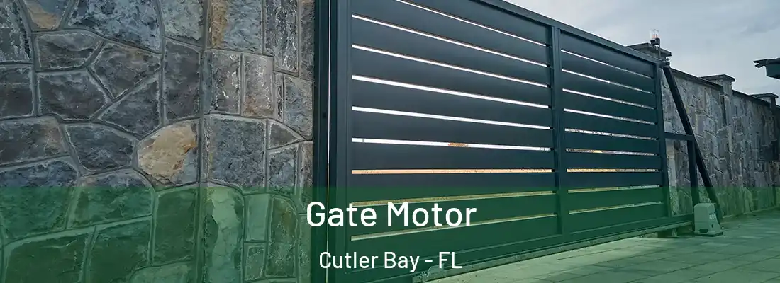  Gate Motor Cutler Bay - FL