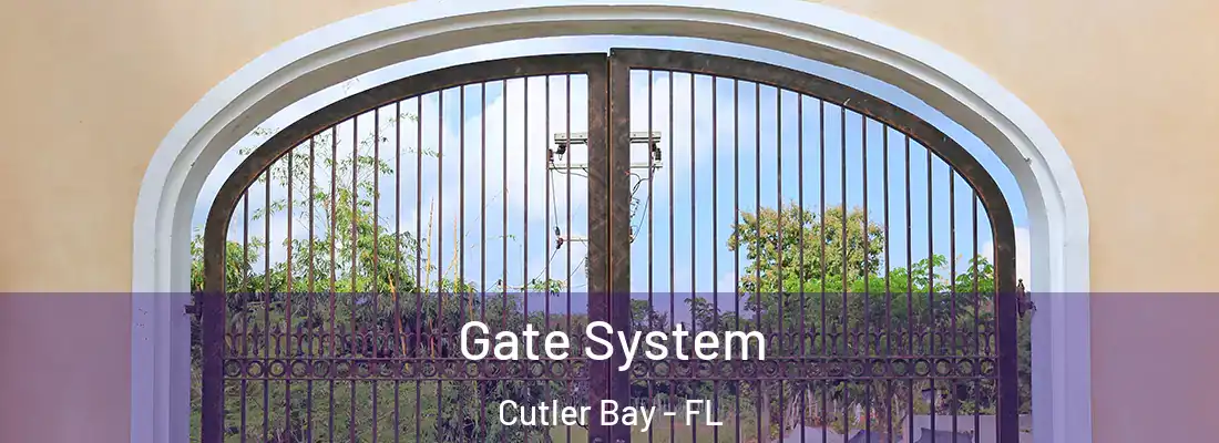 Gate System Cutler Bay - FL