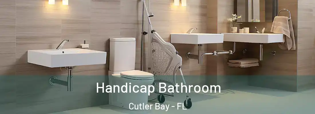 Handicap Bathroom Cutler Bay - FL