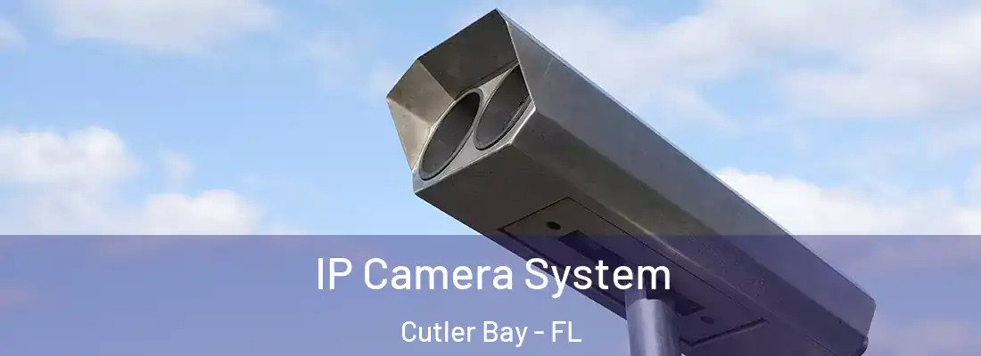 IP Camera System Cutler Bay - FL