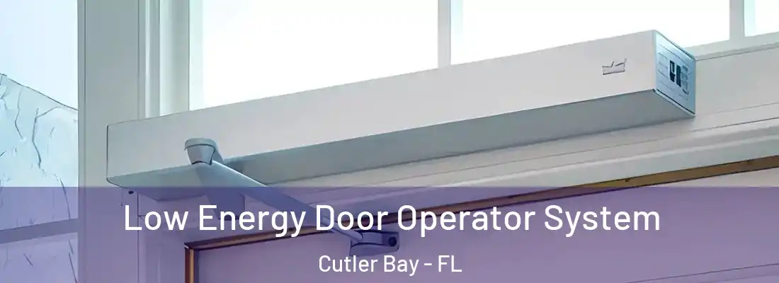  Low Energy Door Operator System Cutler Bay - FL