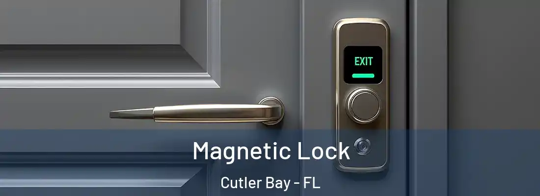 Magnetic Lock Cutler Bay - FL