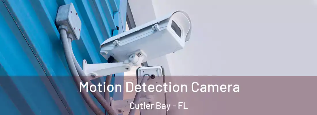 Motion Detection Camera Cutler Bay - FL