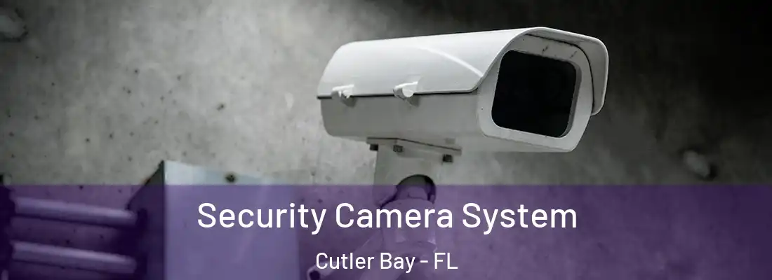 Security Camera System Cutler Bay - FL